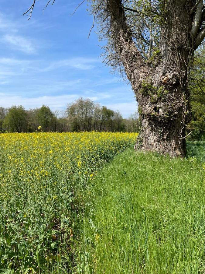 Willa La Foret La Châtre-Langlin Zewnętrze zdjęcie